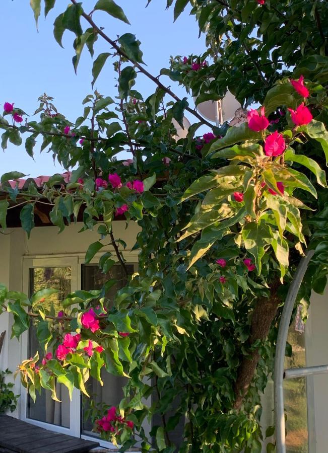 Villa La casa di mare Agios Gordios  Esterno foto